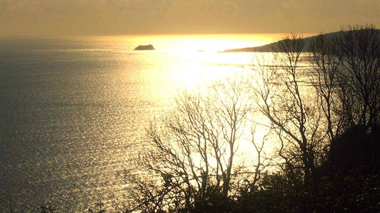Beautiful Seaside One Bedroom Apartment Shaldon Exterior foto